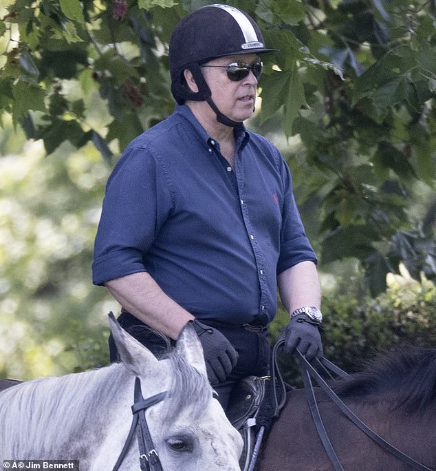 Prince Andrews (pictured) was seen riding in Windsor today, wearing a blue shirt and dark trousers