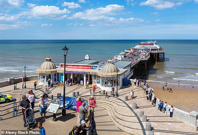 Turning the tide: Rachel had resigned herself to a long wait before she could taste the delights of Cromer