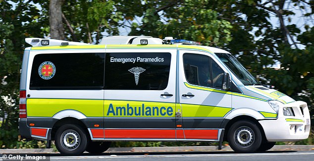 A teenager has died and his two friends have been taken to hospital after a car crashed into a tree in NSW on Friday night (stock photo)