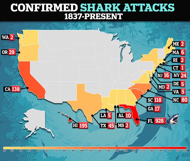 The number of shark attacks has propelled the US to become the shark capital of the world, affecting states like Florida, New York and California