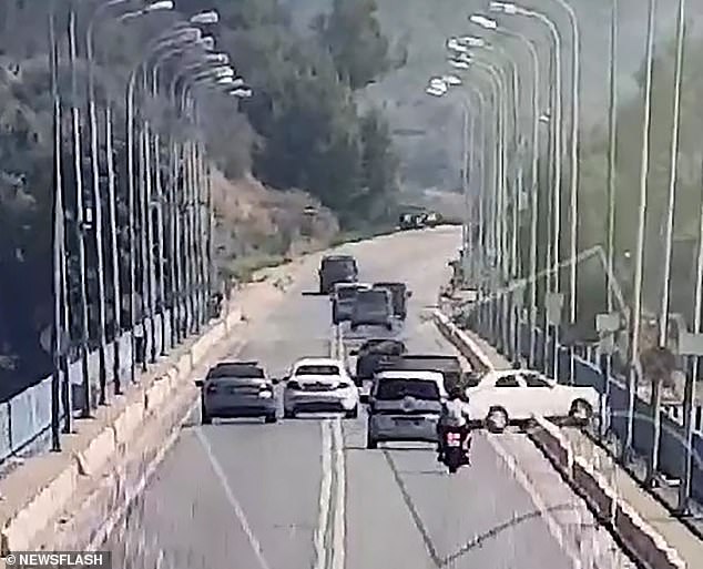 A family of four died after a father lost control of his car, crashed through a guardrail and over a bridge into a lower lake in Turkey