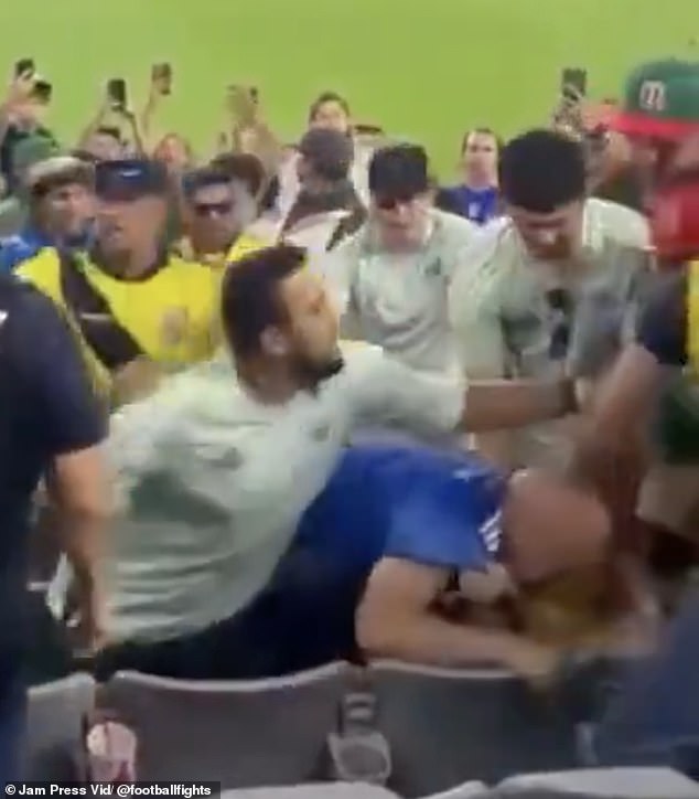 The Mexican fan in the light-colored El Tri shirt punches an Ecuadorian fan