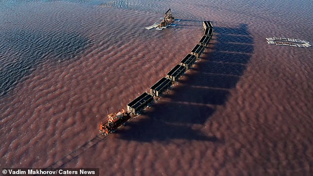 A stunning drone video has captured a freight train passing over Lake Burlinskoye, which has a striking pink hue