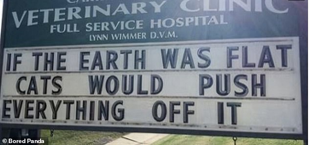 People from all over the world have been sharing snaps of the most hilarious posts they've seen, and Bored Panda has collected the best of them in an online gallery. Including a veterinary clinic in Maryland, which has waded into the flat-Earth debate with a very funny sign