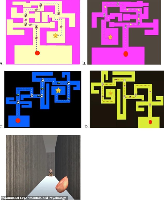 Using a computer program, the children were instructed to describe a route, both from a bird's eye view ('map', AD) and from a first-person perspective ('maze', E).