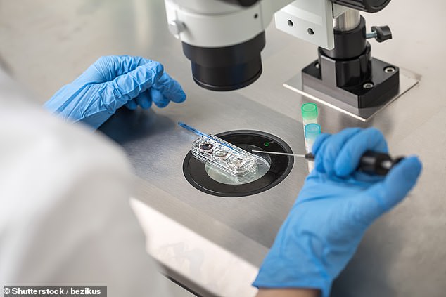 The biological mother and her ex-partner used donor eggs from a mutual friend and donated sperm from a donor who said he would only donate on the condition that he would be part of the child's life (stock photo of the IVF process in the lab shown above)