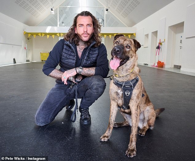 Next year's contestants, which are said to include TOWIE star Pete Wicks (pictured), 36, DIY SOS's Nick Knowles, 61, and soap star Jamie Borthwick, 30, will regularly speak to mental health experts during their time under the glitter ball