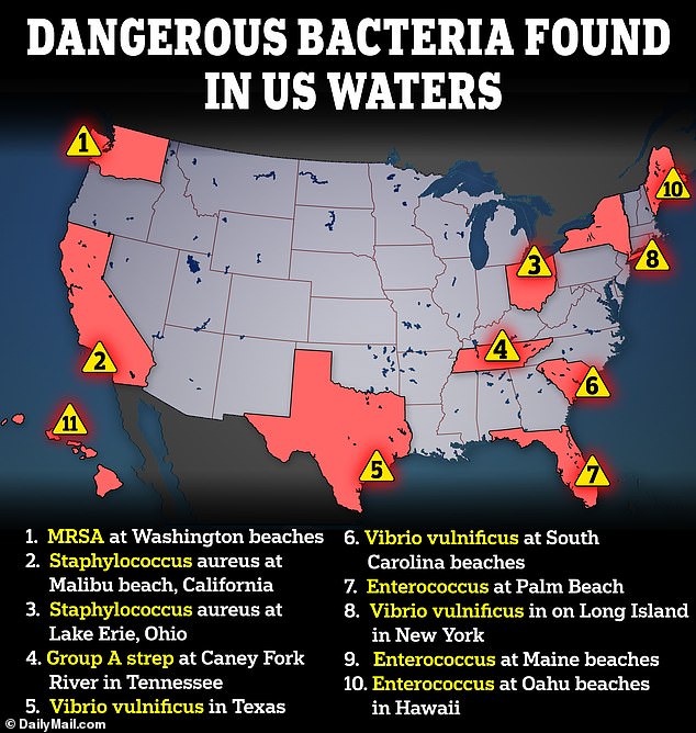 Dangerous bacteria that can eat away at meat are found on beaches and vacations across the country. Above are some examples of where they have been found.