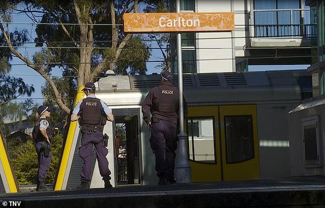 The stroller, carrying two-year-old twins, rolled onto the railway tracks at Carlton train station in Sydney's south