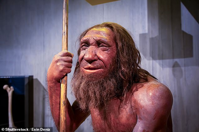 There’s nothing quite as comforting as sitting down to a Sunday roast. And it turns out the habit has been around for tens of thousands of years – with evidence suggesting Neanderthals roasted small birds for dinner