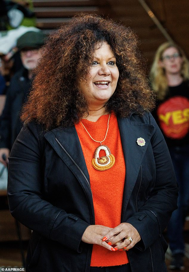 When the Prime Minister announces his cabinet reshuffle on Sunday, MPs Malarndirri McCarthy (pictured) and Murray Watt are expected to be promoted