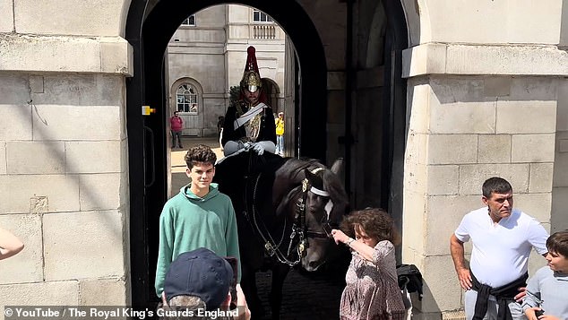 Last month a horse gently nudged a woman who appeared so shocked that she fell to the ground