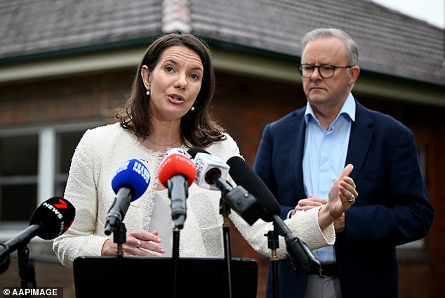 The trial is one of ten recommendations Housing Now! has made to Housing Minister Rose Jackson (pictured) to improve housing options and tenant rights.