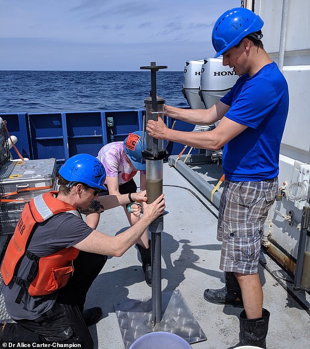 Scientists used sediment samples from North Carolina and Florida (pictured) to determine how strong the Gulf Stream was during the last ice age, revealing that global currents are highly sensitive to climate change.