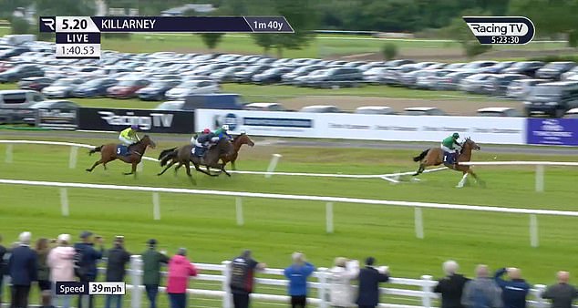 Chaos broke out in Killarney on Wednesday as hot favourite Green Triangle stormed through the gates of victory