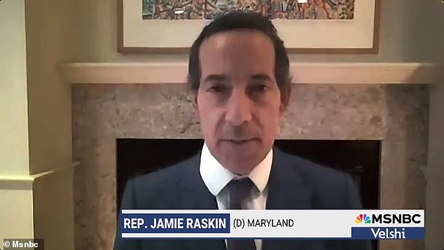 Rep. Jamie Raskin, one of Joe Biden's biggest defenders in Congress, said Democrats are having 