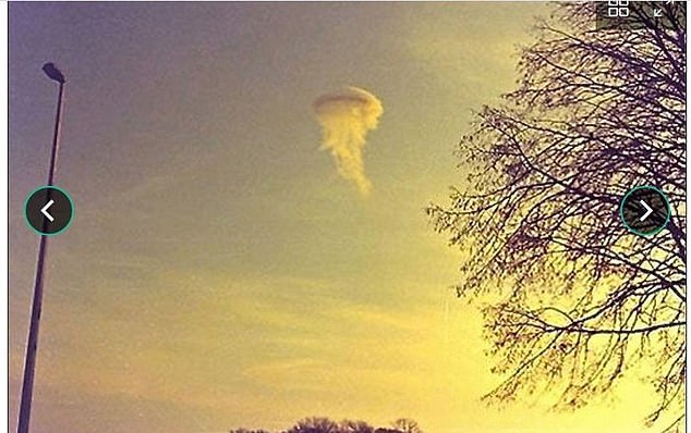 This floating squid was photographed in Denmark in 1975 (MUFON)