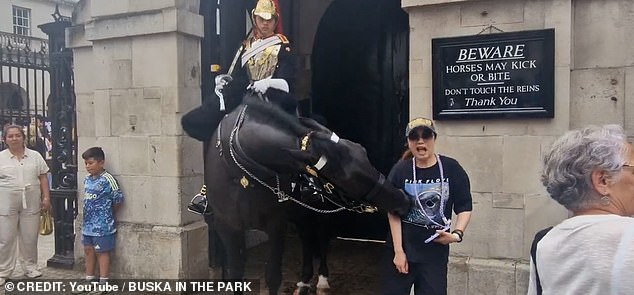 The tourist wears a black baseball cap and a Pink Floyd T-shirt as she poses with the King's Guard and his horse. She stands under a sign that reads: 'Horses may kick or bite'