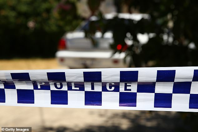 A truck driver and a worker who were felling trees died in separate work-related tragedies in Western Australia on Tuesday (file photo)