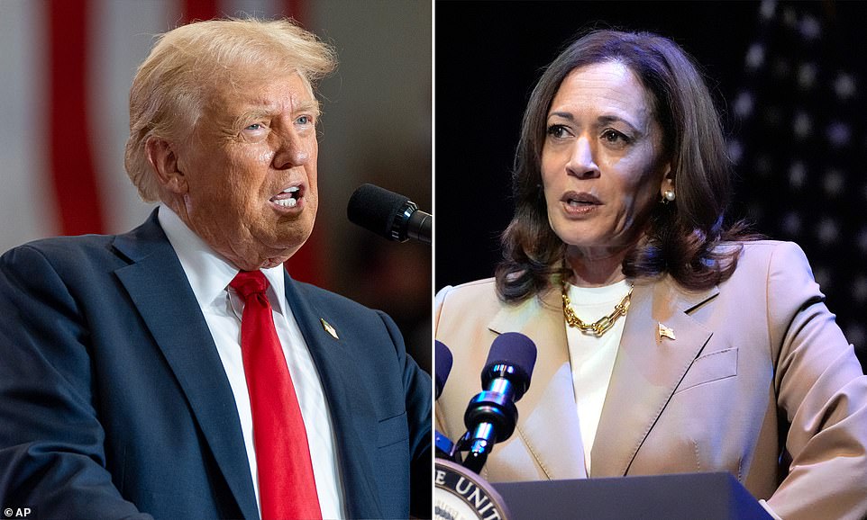 Pennsylvania voters are divided in the 2024 race now that Vice President Kamala Harris has emerged as the de facto Democratic nominee. In the week since President Joe Biden ended his reelection bid, Harris has seen a surge in enthusiasm and poll numbers that already appear to be fading.