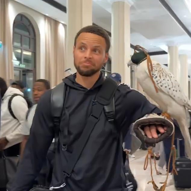 Steph Curry got to hold a falcon as Team USA Basketball was welcomed to Abu Dhabi