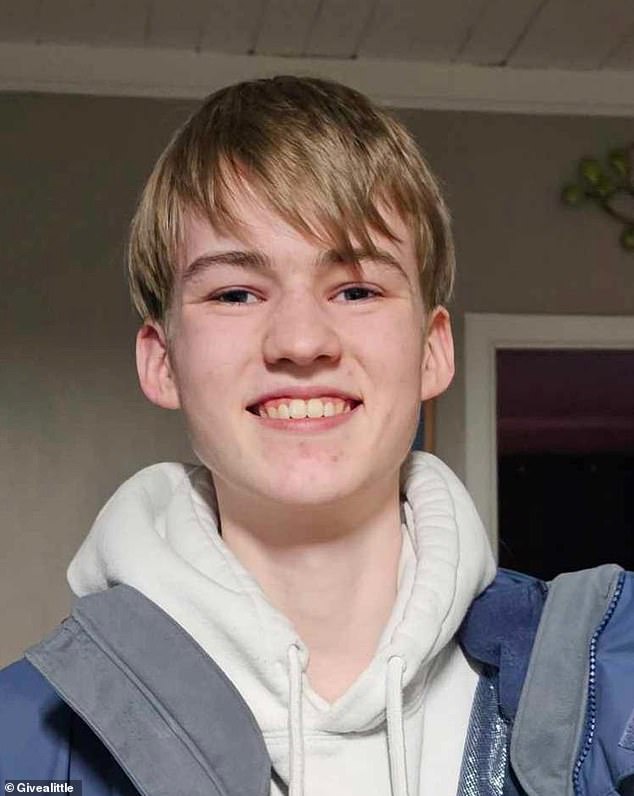 William Jones, 16 (pictured), was found unconscious in his bed by his mother Rebecca Rollason at their home near Wellington, New Zealand, on June 14.