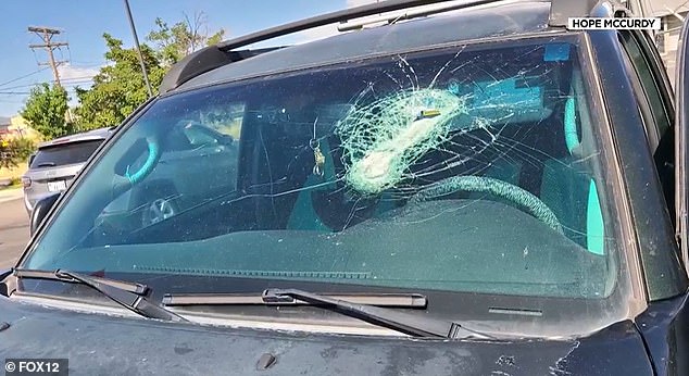 Hope McCurdy was on her daily commute on I-15 when a heavy piece of metal measuring 9 inches by 2 inches flew through the air and smashed through her windshield