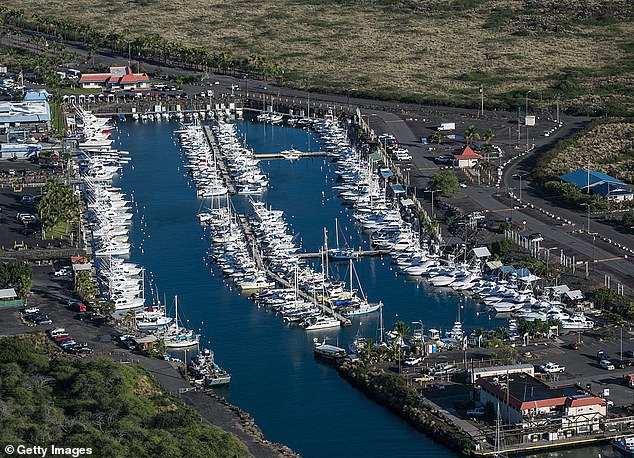 Three vehicles have ended up in the water in just over a year at the Honokohau Small Boat Harbor (pictured) in Kailua-Kona, Hawaii