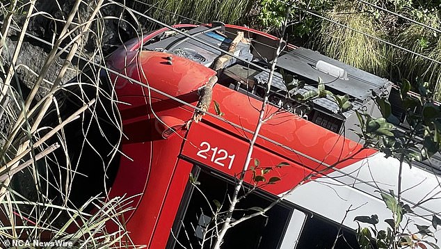 More than 60 passengers were trapped on a tram when high winds in Sydney caused a tree to fall onto overhead power lines