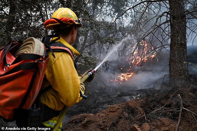 More than 5,000 firefighters are battling the Park Fire, which was reportedly started by a man who pushed his burning car into a ditch in upper Bidwell Park near the city of Chico last week.