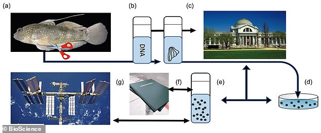 Samples could possibly be sent to the International Space Station (ISS) first to see how they would behave in space