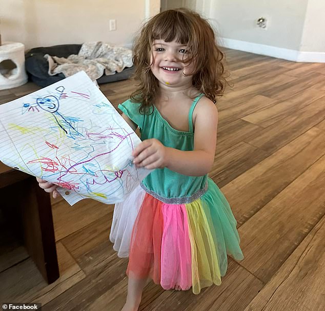 Parker Scholtes, 2, died in a hot car outside her home after reportedly being left there for three hours on a day with temperatures of 108 degrees Fahrenheit