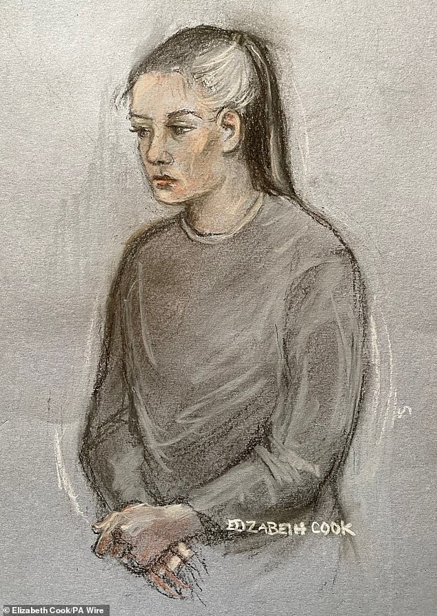 De Sousa Abreu (pictured in a sketch by a court artist) pleaded guilty to one count of misconduct in a public office and was released on bail ahead of her sentencing in November