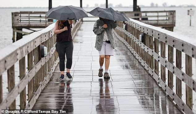 The system is currently dumping rain on Hispaniola, Puerto Rico and the Virgin Islands. But it could soon have the Sunshine State in its sights. (Pictured: Rainstorm at Veteran's Memorial Marina Park on Thursday, July 11, 2024, in downtown Safety Harbor)