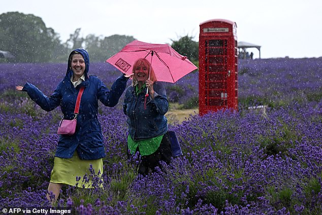 England came out on top, recording 79.0mm of rain - 19 per cent more than average. Pictured: People react to the rain as they visit Mayfield Lavender Farm in Carshalton, southern England on 7 July