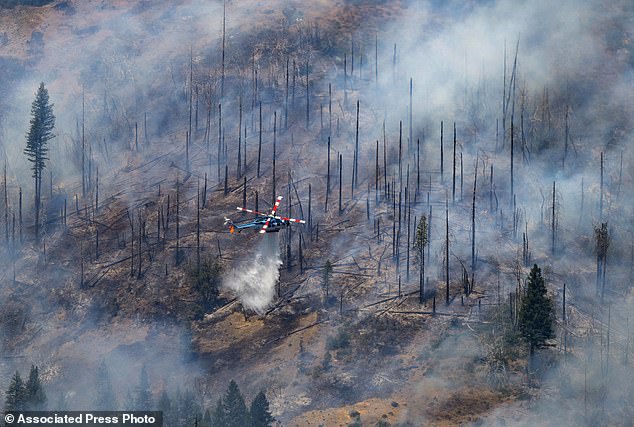 A helicopter drops water on the Park Fire near Butte Meadows, California on Tuesday