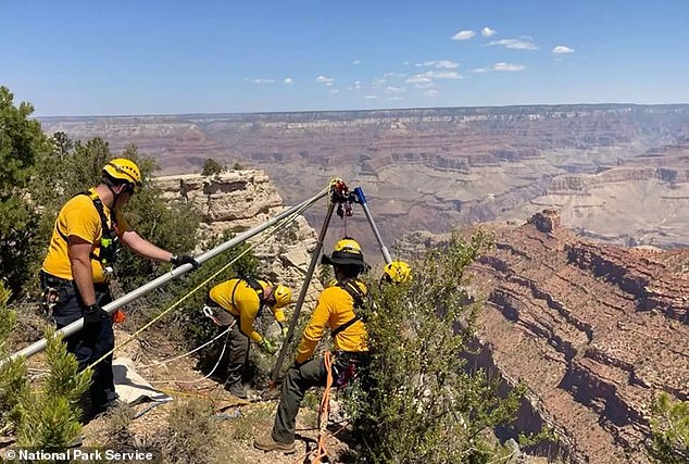 Grand Canyon spokesperson Joelle Baird told AZ Family that Mejia's rescue mission was 