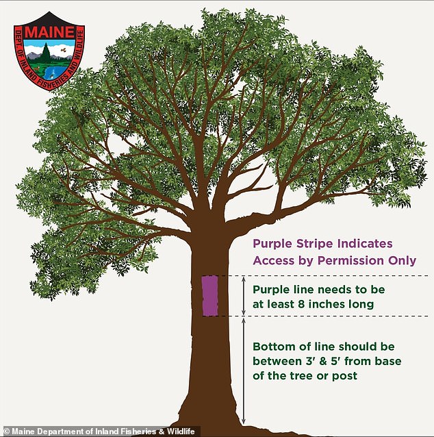 Nearly all states with these laws also regulate the size of the markings on trees or poles. Above is how Maine regulates them