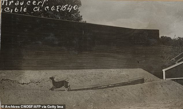 Fortunately, no live deer were involved in the Olympic competition. Pictured, wooden 'running deer' in Paris 1924