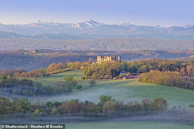 The current owner, Francis Tisseyre, said he is willing to offer the beautiful castle to anyone 'for free'