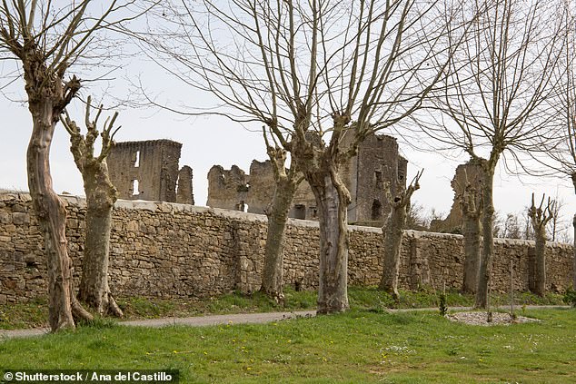 Despite the charm and history of the castle, Mr Tisseyre is prepared to offer the site to anyone who wishes to take it over from him.