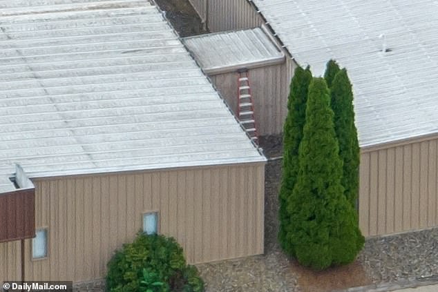 A ladder, hidden by dense undergrowth, to the roof of the AGR building where Crooks shot Donald Trump