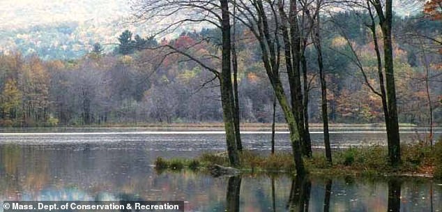 Most were closed due to an excess of bacteria or a harmful bloom of cyanobacteria, and 29 due to bacteria alone (pictured: Clarksburg Lake)