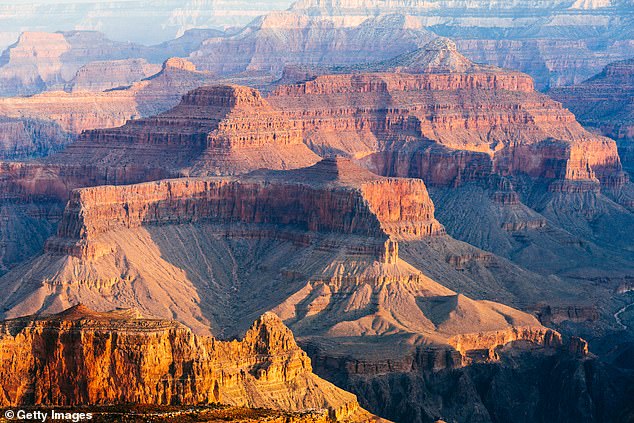 The National Park Service and the Coconino County Medical Examiner's Office are conducting an investigation into the incident