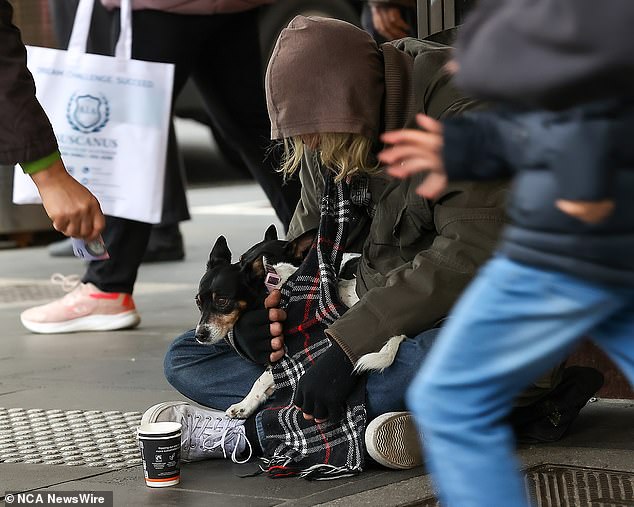 Other countries, such as the UK, have protection measures in place to prevent young people from becoming homeless (stock image)