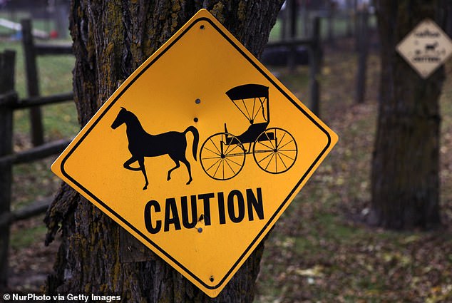 The slow speed and poor visibility of horse-drawn Amish carriages create chaos on the road