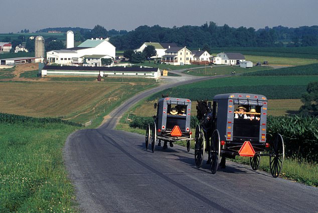 Most Amish buggies are already equipped with reflective panels to improve visibility