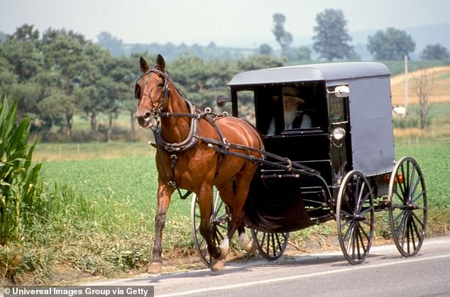 Most Amish have abided by the rules, while another progressive member told DailyMail.com that the refusal of others to obey the law has led to tensions with locals.