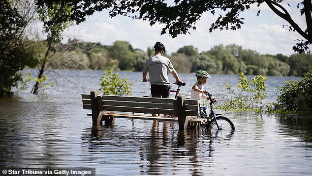 Pictured: A father and son ride bicycles on flooded sidewalks around Lake Nokomis on Sunday, June 15, 2014, in Minneapolis.