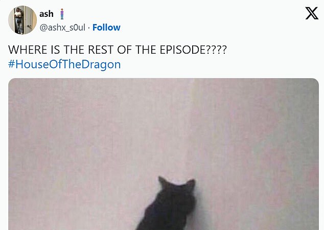 “WHERE IS THE REST OF THE EPISODE????” tweeted @ashx_s0ul, along with a photo of a cat and the caption, “Sobbing in Valyrian.”